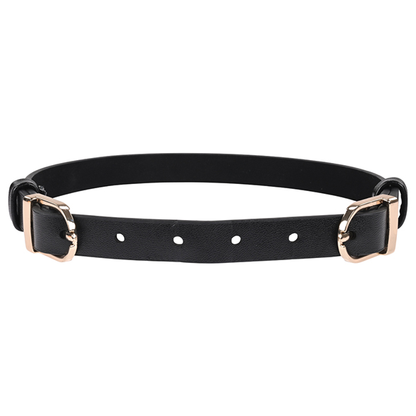 Sportsheets – Sex & Mischief Double Buckle Day Collar