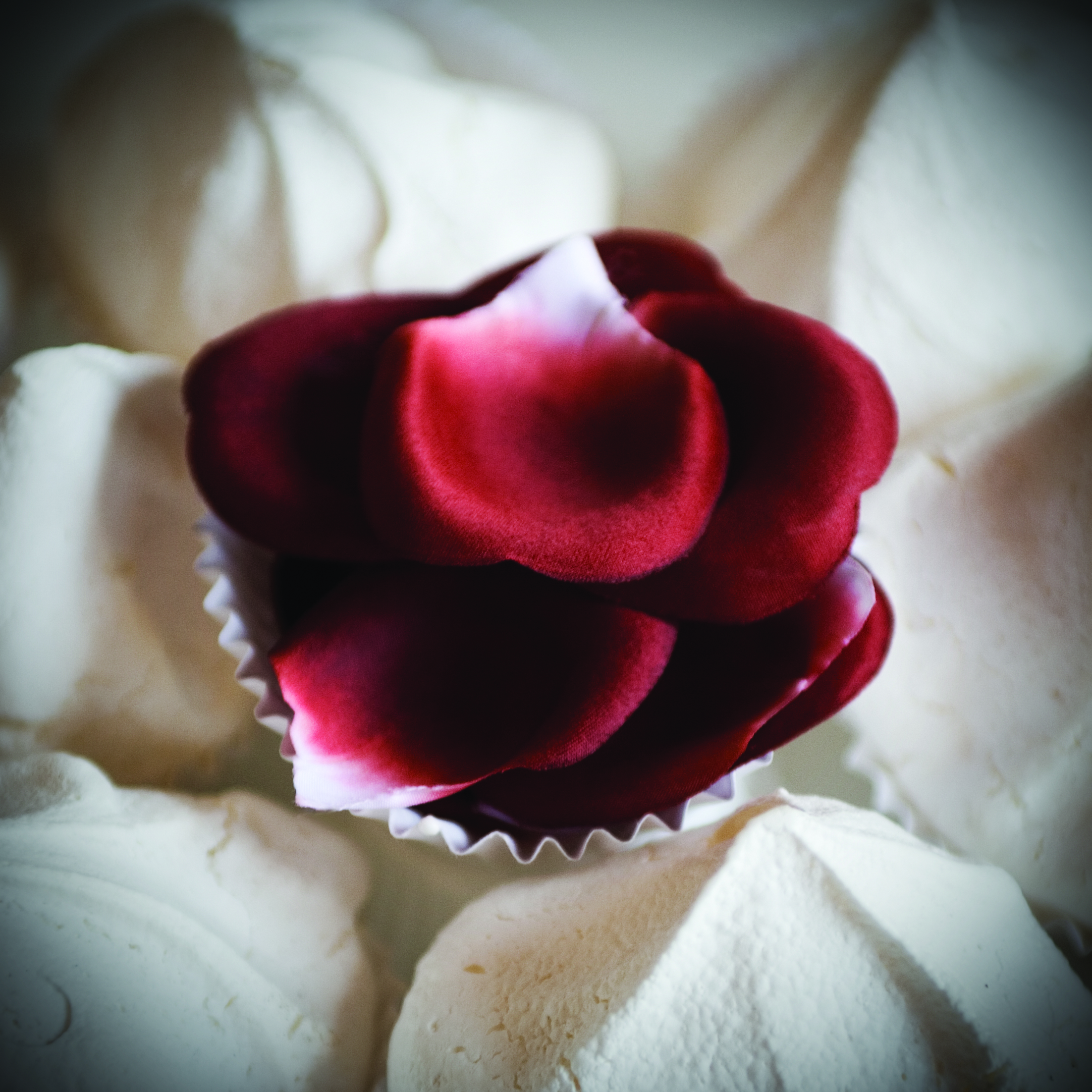 Bijoux Indiscrets - Rose Petal Explosion image